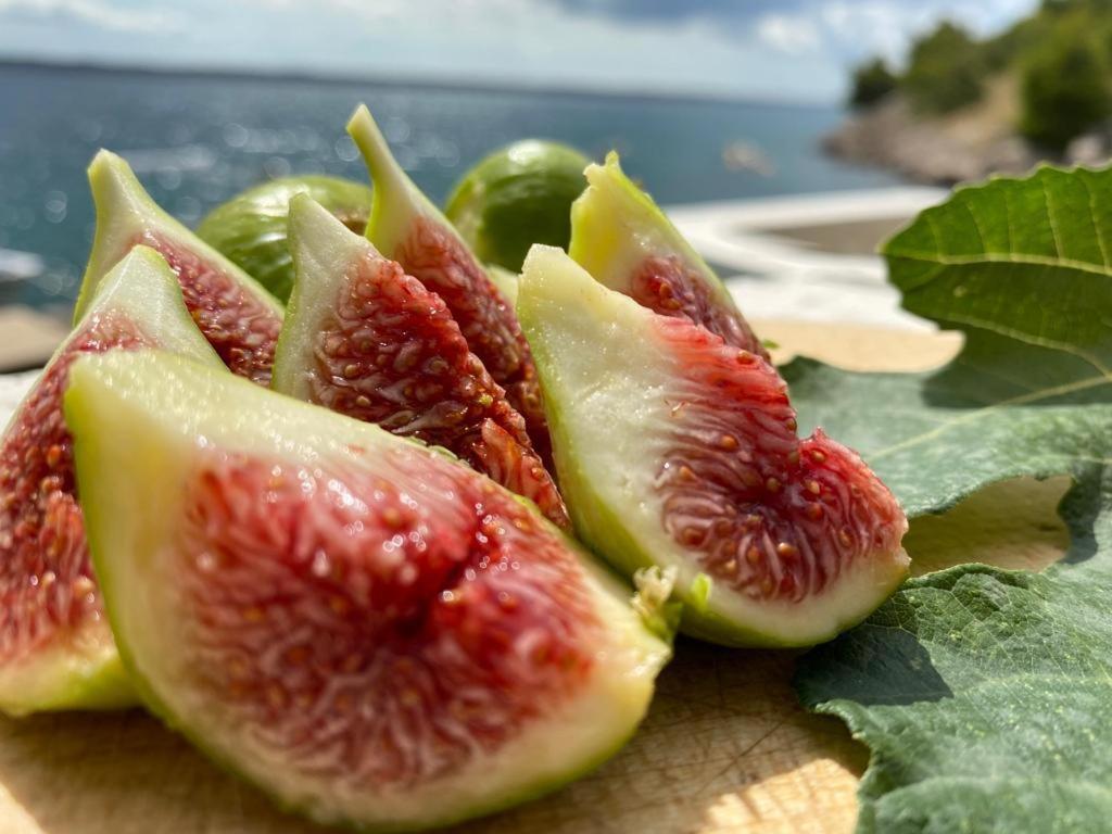 Porat Starigrad Paklenica Exterior foto
