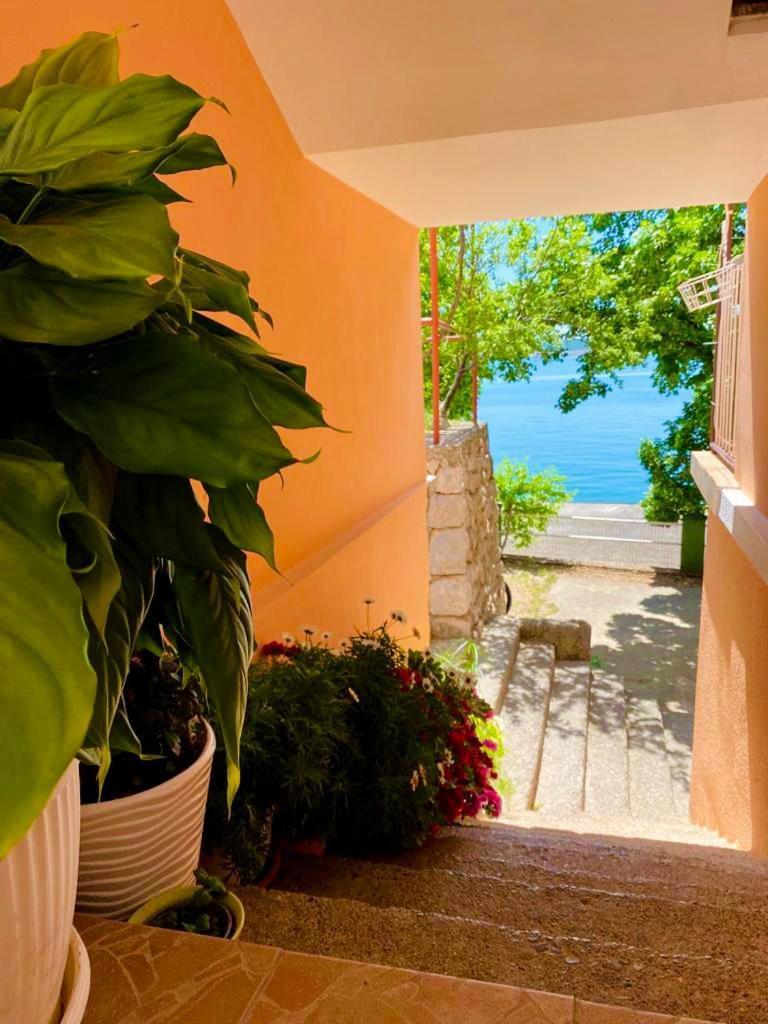 Porat Starigrad Paklenica Exterior foto